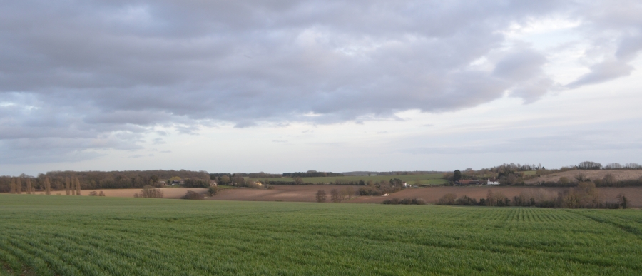From Youngsbury Arboretum, containing Roman tumuli, this view takes in a large swathe of the historic features and rural character of the Rib valley, from right to left: Sawtrees Wood, Sawtrees Farm, Richmond Field and Burleigh Common, Hollytrees, Mountains, Meadow View Cottages Buckney wood, Ashridge Common, Cold Christmas Cottages, Swangles and finally the recently planted Jubilee Wood.