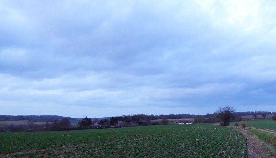 This view runs to the North and East along Ashridge Common along the South side of the valley. In ancient times, this would have been a key route through ancient woodlands, of which Buckney Woods in the distance to the right is a remnant. The white building of Timber Hall, containing 9th Century timbers, is visible and the roofs of Meadow View Cottages just appearing over the top of the sunken Cold Christmas Lane