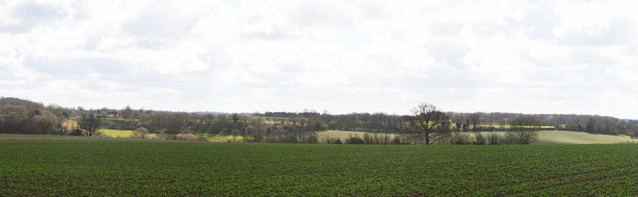 From Tylers Wood, this view stretches more than an entire quarter of the compass from almost North East to past South. On the left is the Northern end of Sawtrees Wood of hornbeam, coppiced for charcoal used in maltings, late medieval Sawtrees farm in the centre of the view, Richmond Field and Burleigh Common containing bronze age round barrows, following round to Buckney Wood and finally Ashridge to the South at the right of the view