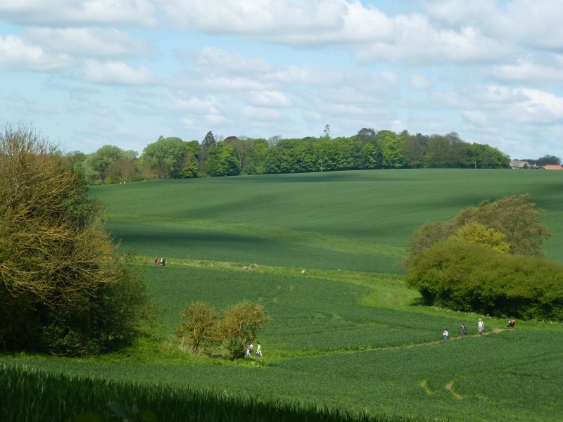 Christian Aid walkers 2015