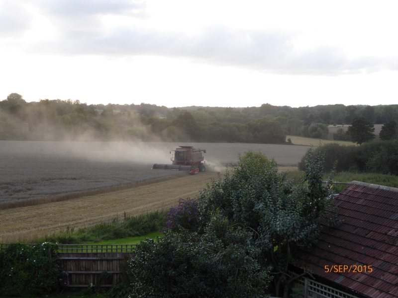 Harvest Cold Christmas 2015