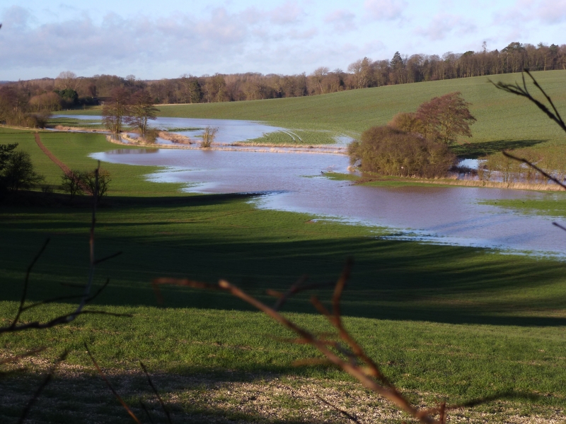 Flooded Rib 2014