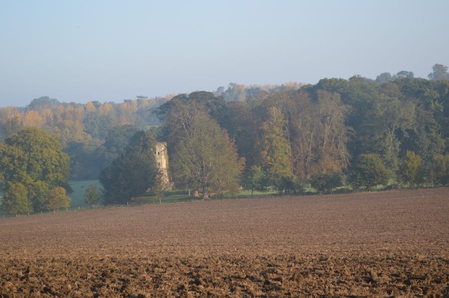 The Old Church from Thundridge Hill House 2015