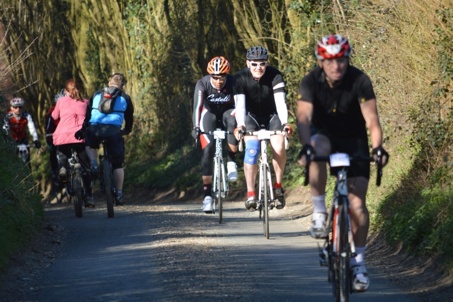 Cyclists 2014